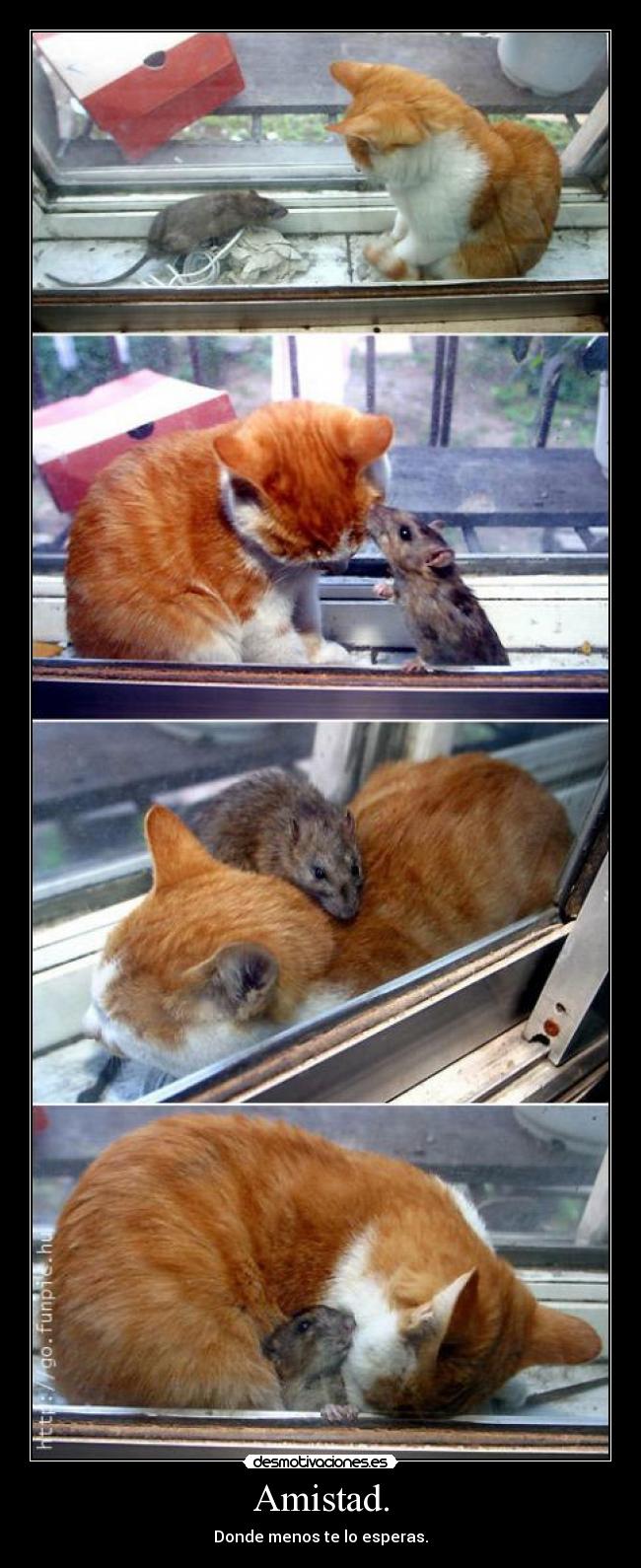 Amistad. - Donde menos te lo esperas.