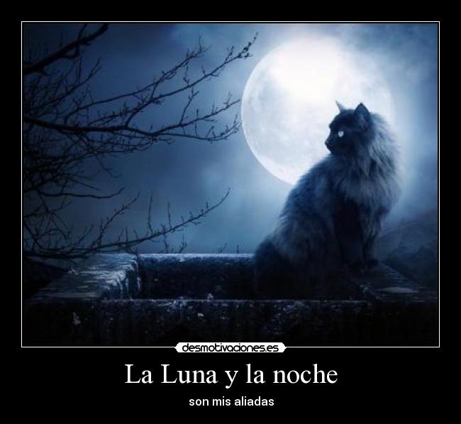 La Luna y la noche - son mis aliadas