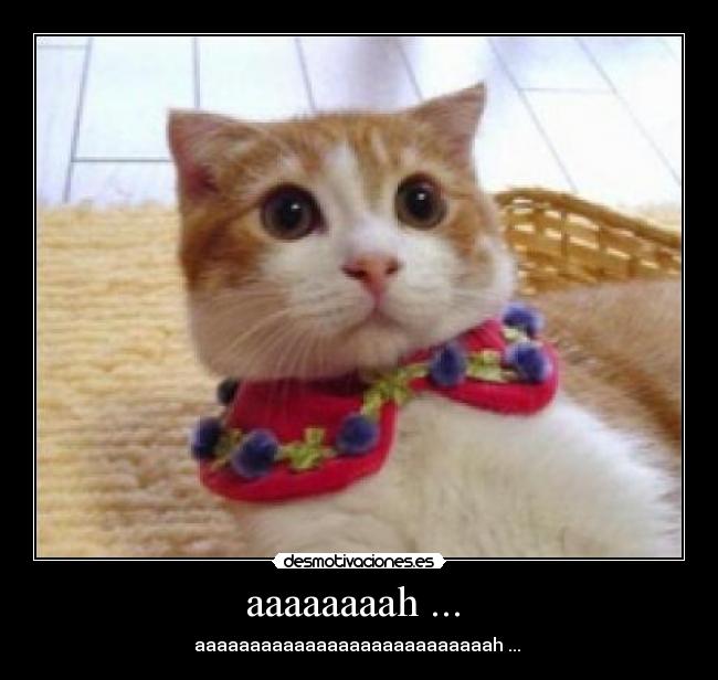 aaaaaaaah ... - aaaaaaaaaaaaaaaaaaaaaaaaaaah ...