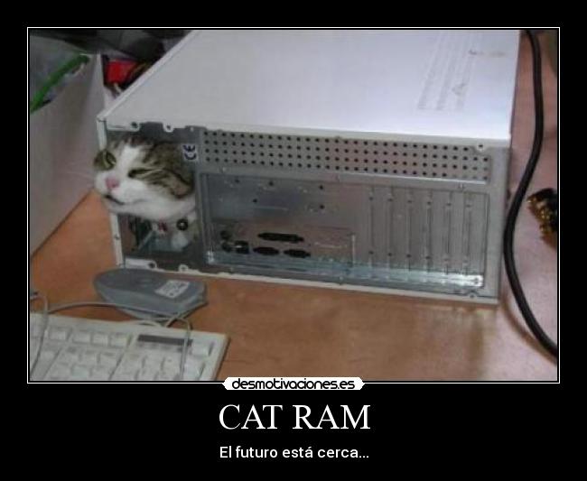 CAT RAM - El futuro está cerca...
