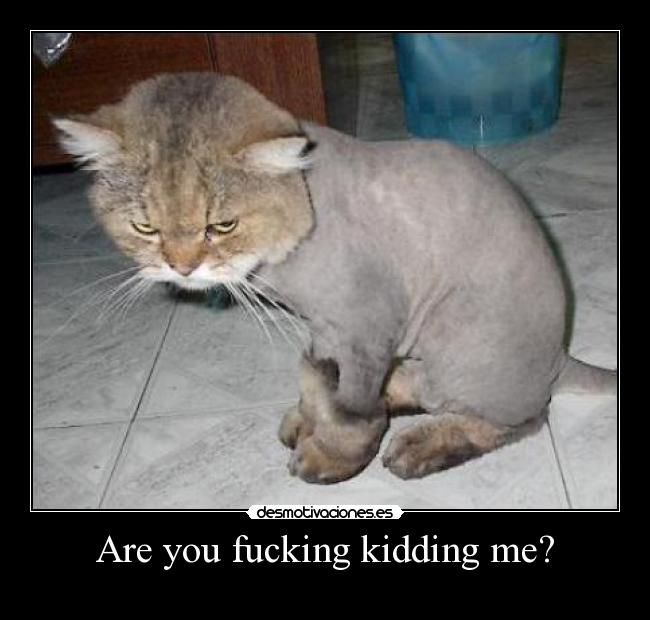 Are you fucking kidding me? - 