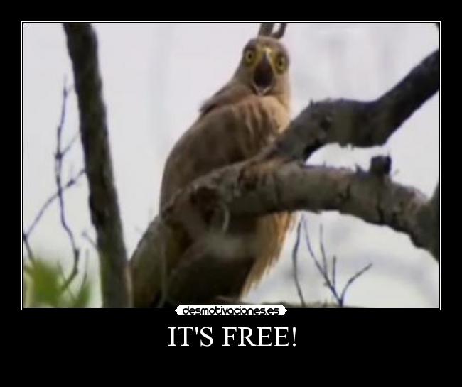 ITS FREE! -