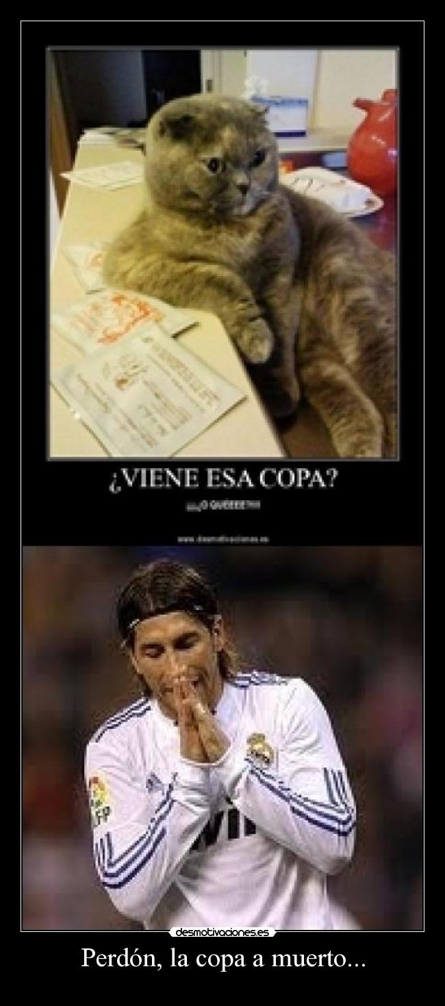 Perdón, la copa a muerto... -