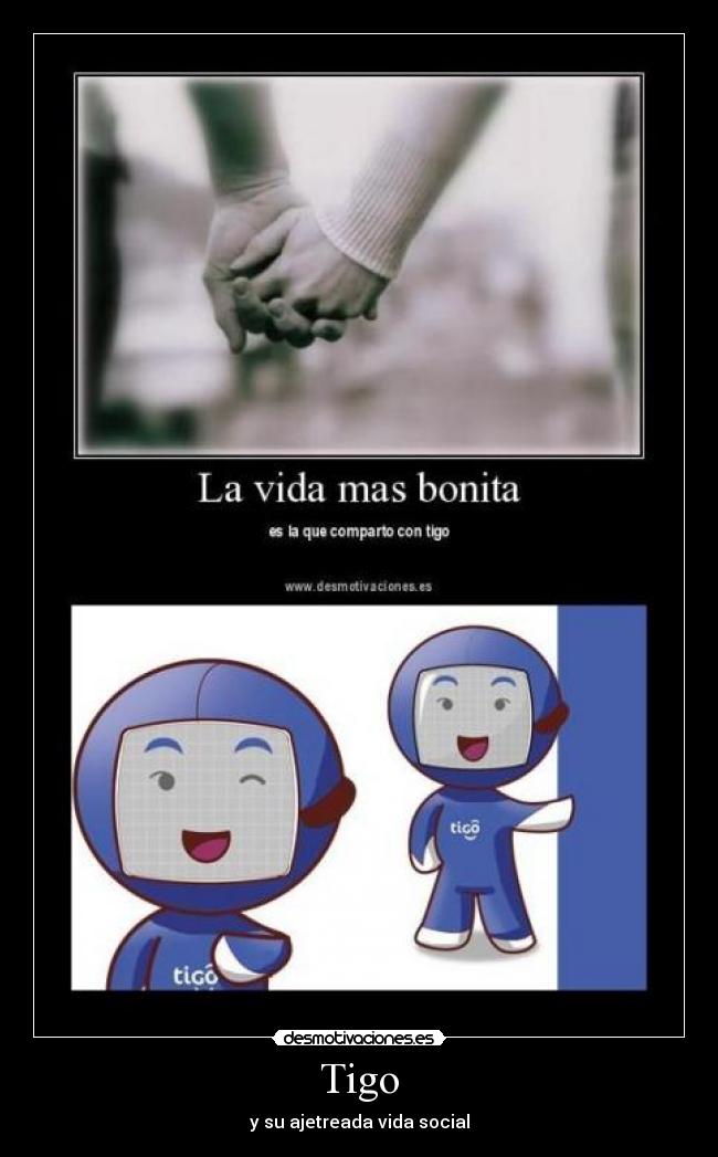 Tigo - y su ajetreada vida social