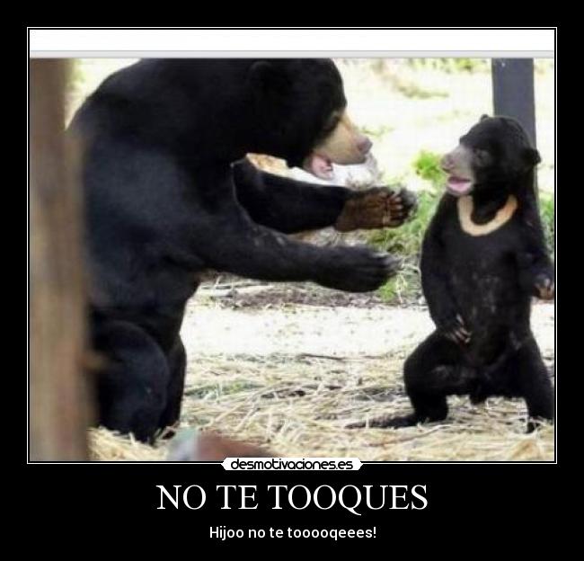 NO TE TOOQUES - 