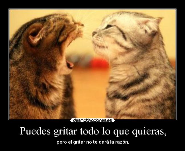 Puedes gritar todo lo que quieras, - pero el gritar no te dará la razón.