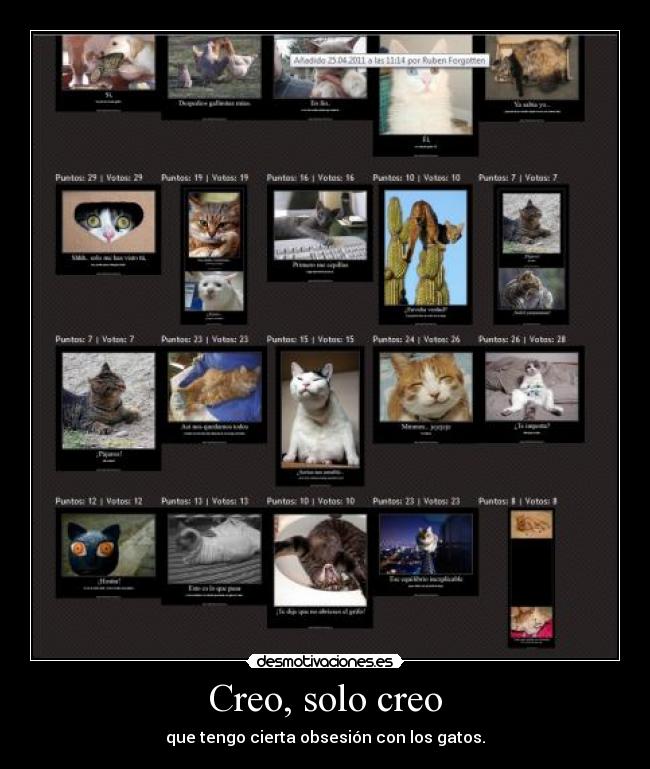 Creo, solo creo - que tengo cierta obsesión con los gatos.