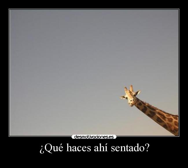 ¿Qué haces ahí sentado? -