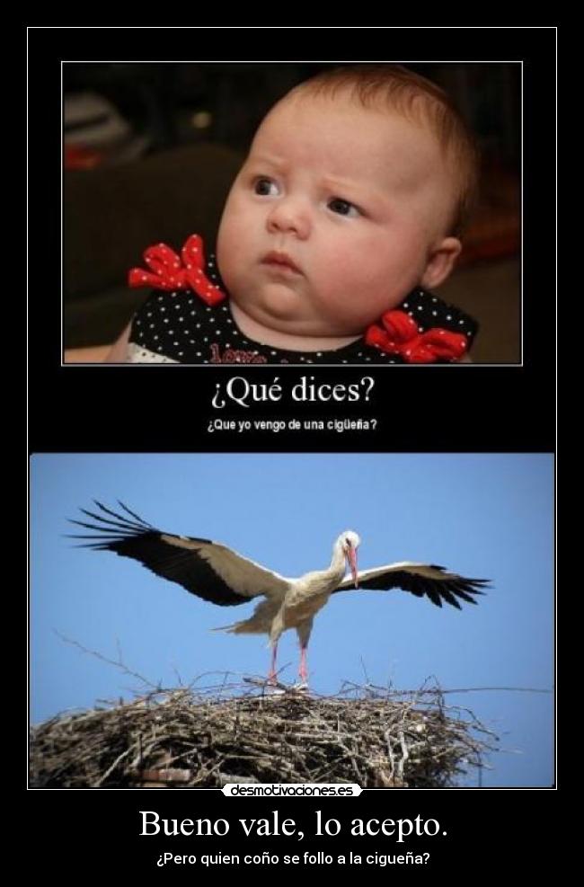 Bueno vale, lo acepto. -