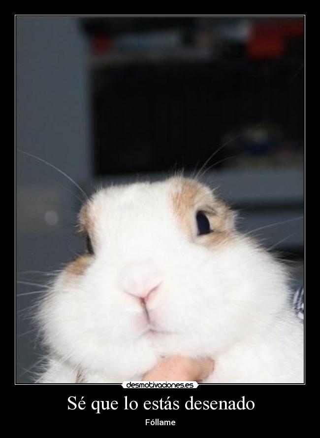 Sé que lo estás desenado -
