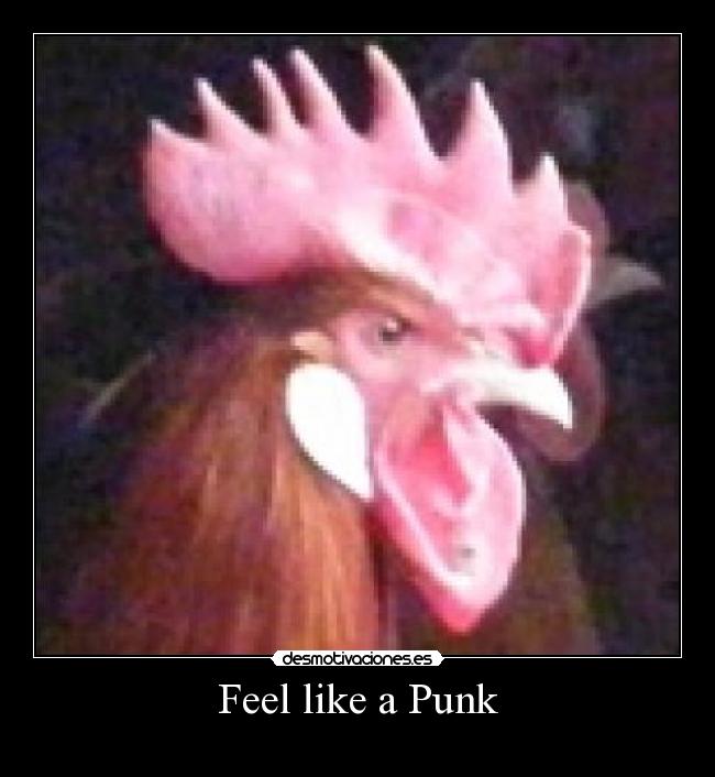 Feel like a Punk - 