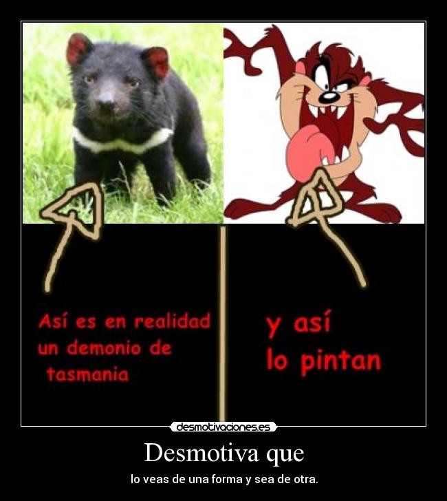 carteles papepepejidnfksa desmotivaciones