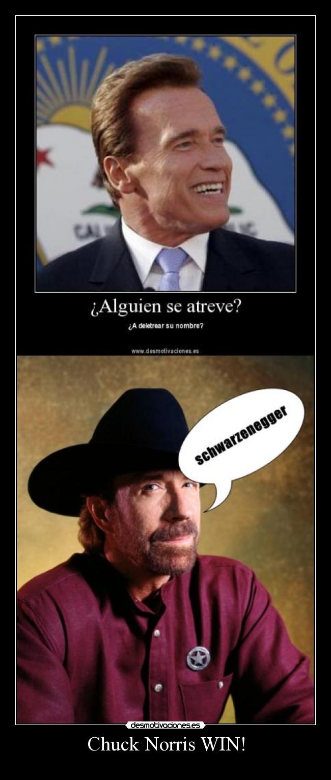 carteles chuck norris schwarzenegger desmotivaciones