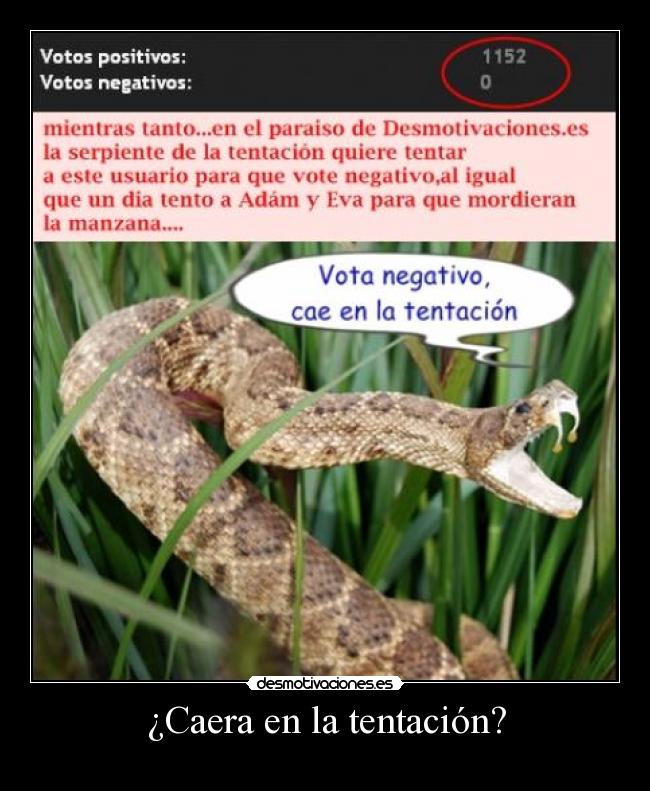 ¿Caera en la tentación? - 