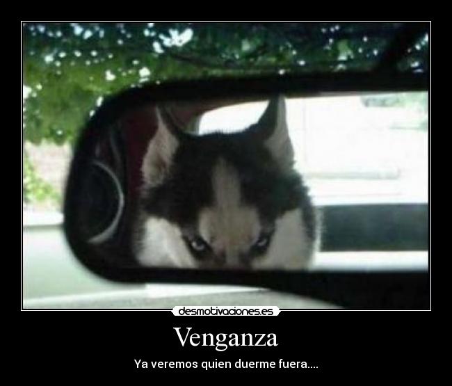 Venganza -