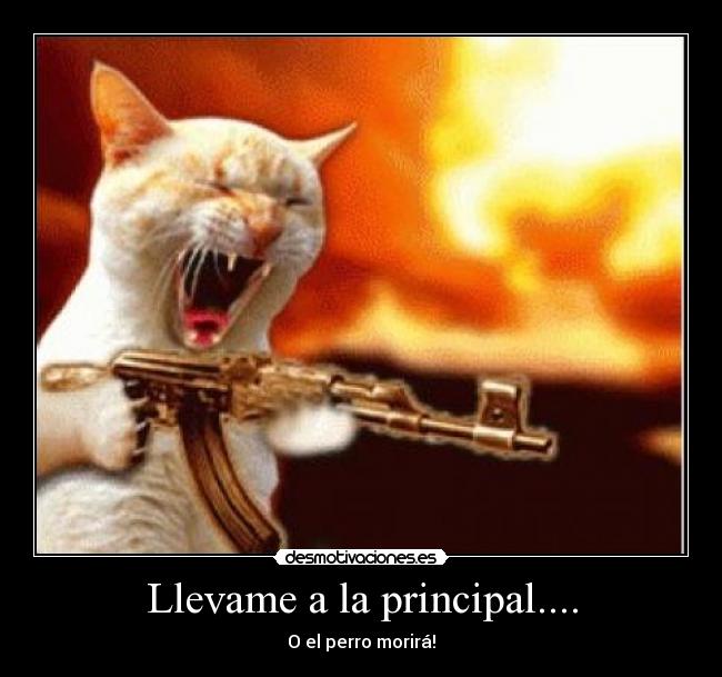 Llevame a la principal.... -