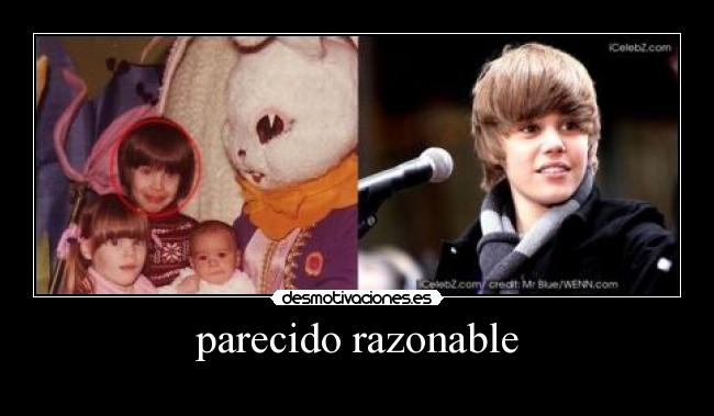 parecido razonable -  