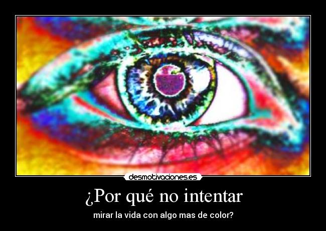 ¿Por qué no intentar -