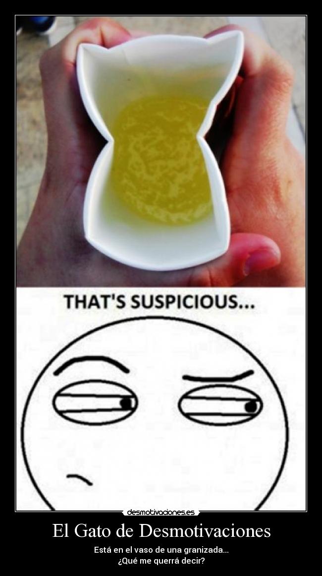 El Gato de Desmotivaciones - Está en el vaso de una granizada...
¿Qué me querrá decir?