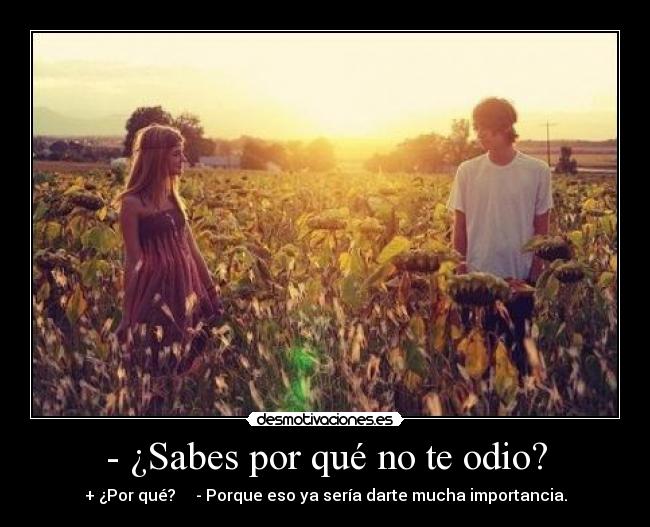 - ¿Sabes por qué no te odio? - + ¿Por qué?     - Porque eso ya sería darte mucha importancia.