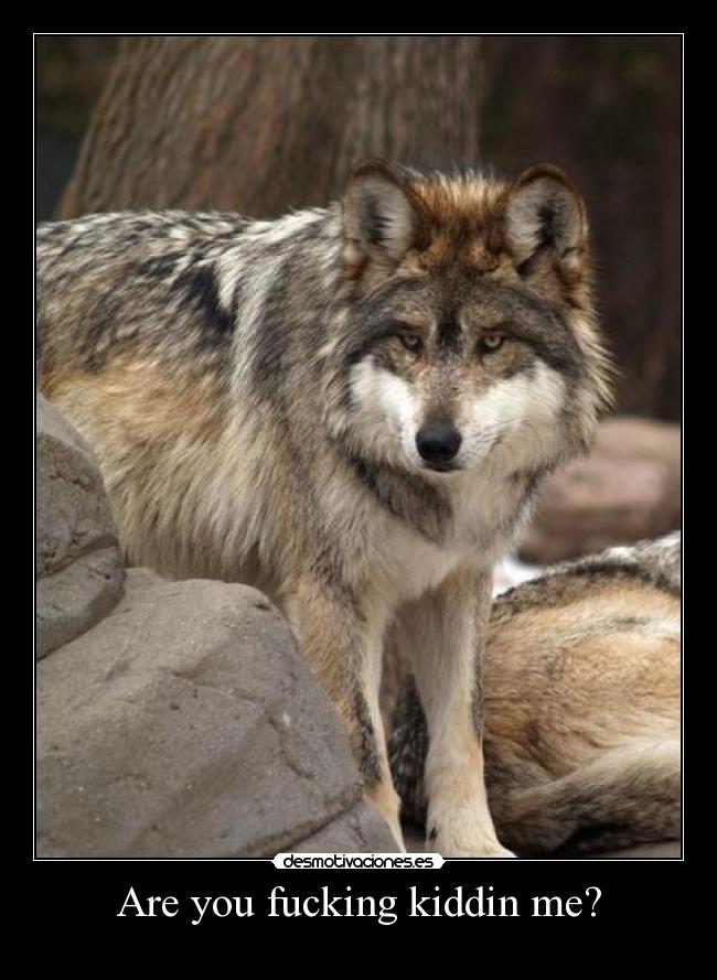 Are you fucking kiddin me? - 