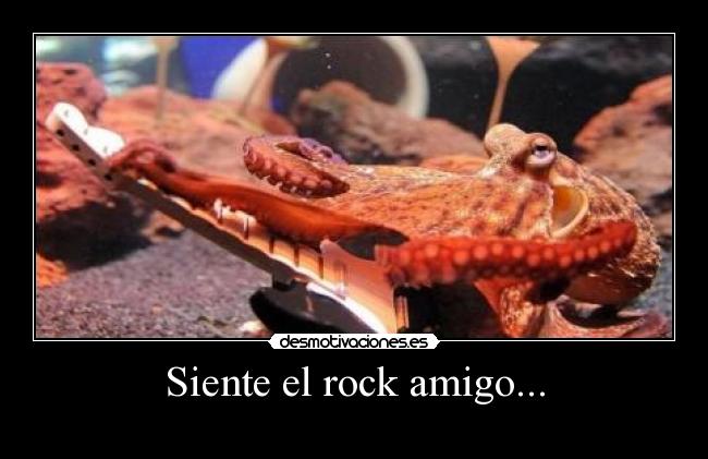 Siente el rock amigo... - 