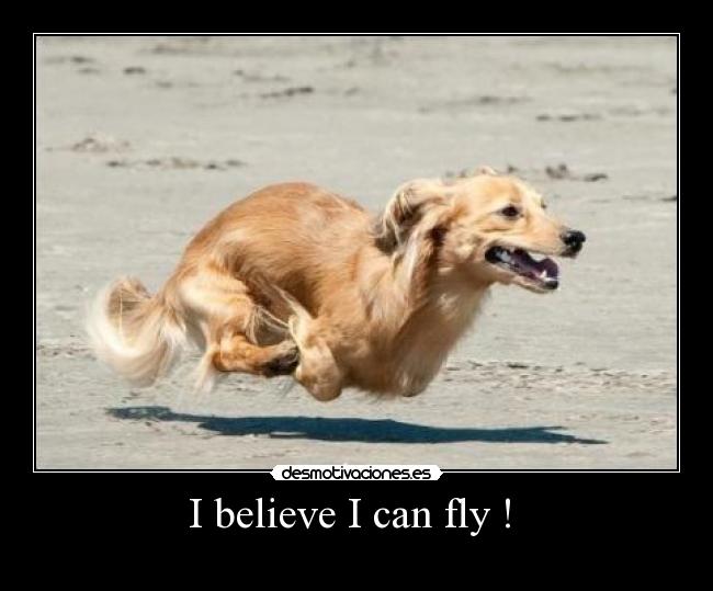 I believe I can fly !  - 