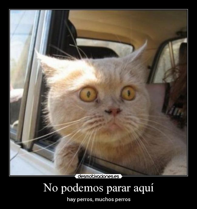 No podemos parar aquí -