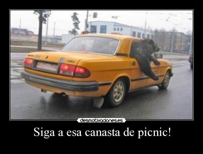 Siga a esa canasta de picnic! - 