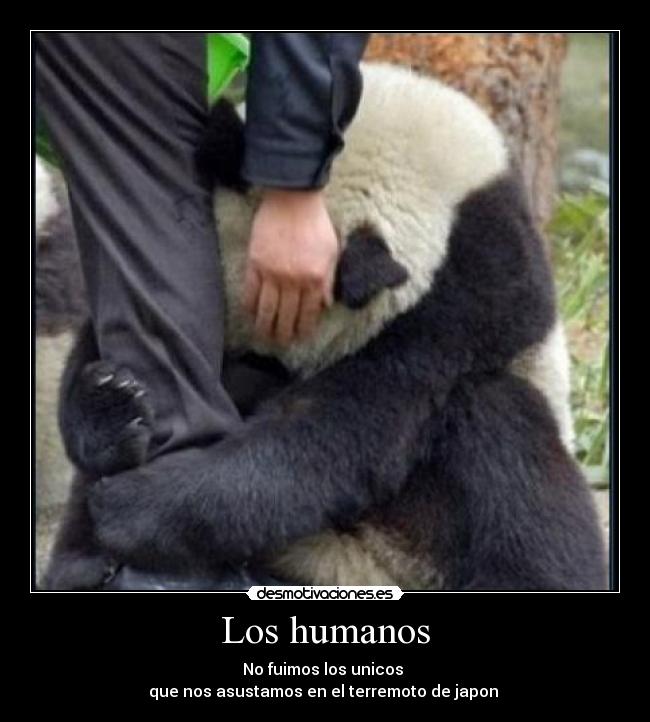 Los humanos -