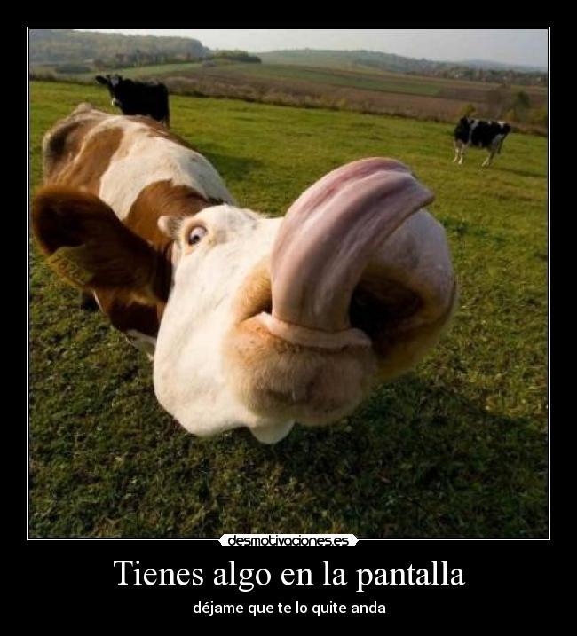 Tienes algo en la pantalla -