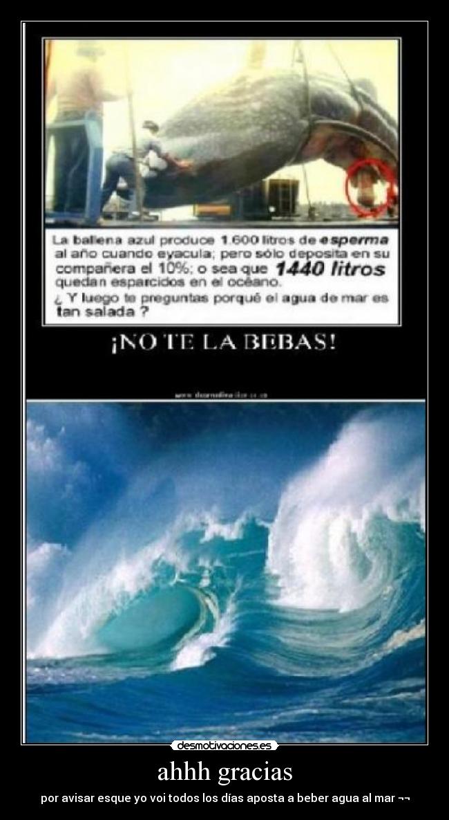 ahhh gracias - por avisar esque yo voi todos los días aposta a beber agua al mar ¬¬