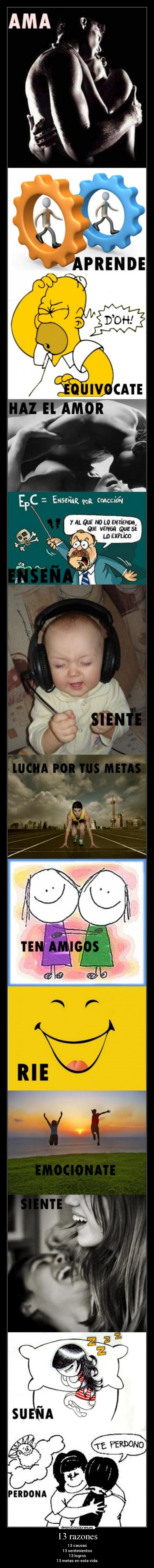 13 razones -