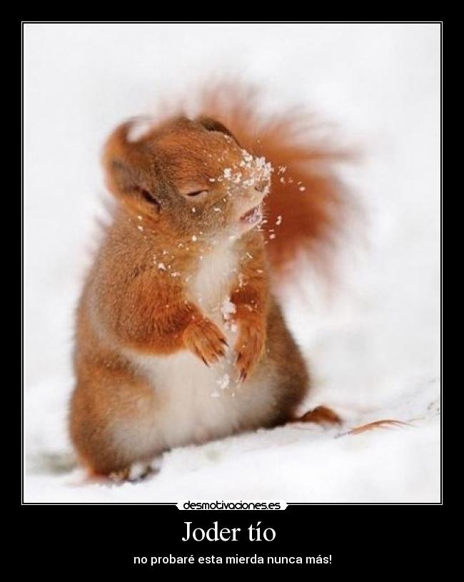 carteles lol desmotivaciones