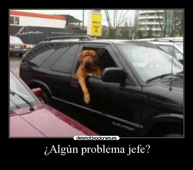 ¿Algún problema jefe? - 