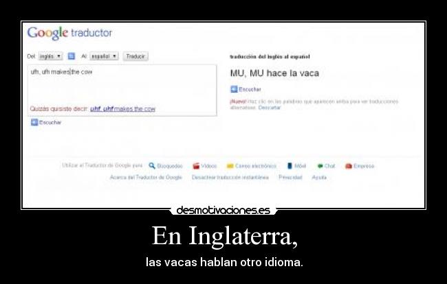 En Inglaterra, - las vacas hablan otro idioma.