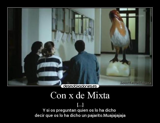 Con x de Mixta - 