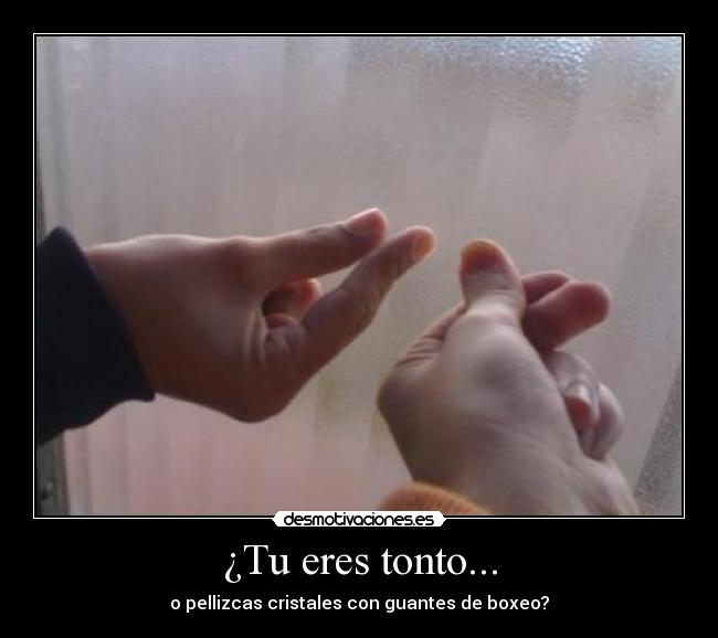 ¿Tu eres tonto... - o pellizcas cristales con guantes de boxeo?