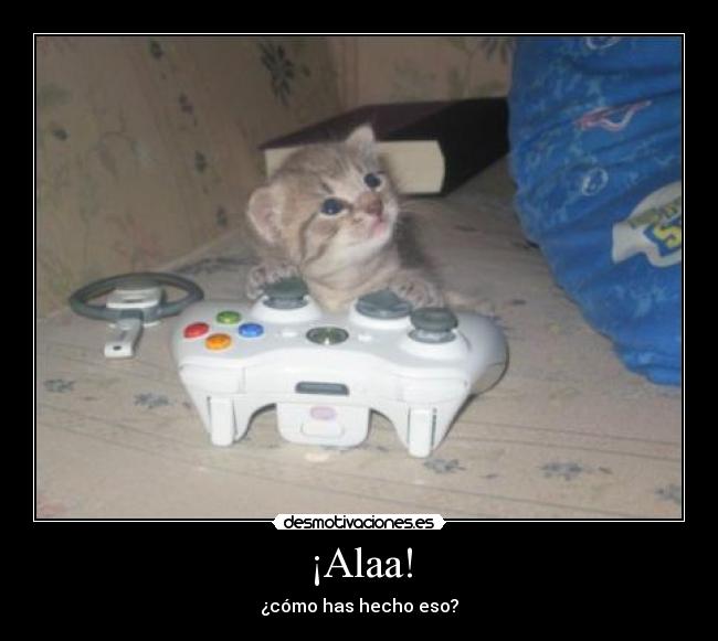 ¡Alaa! -