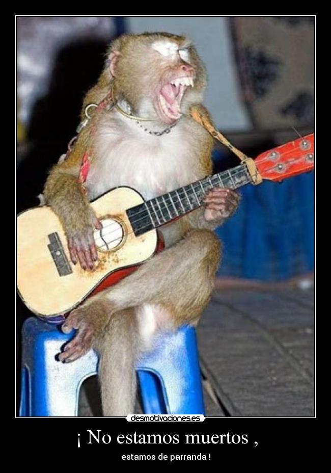 ¡ No estamos muertos , - estamos de parranda !