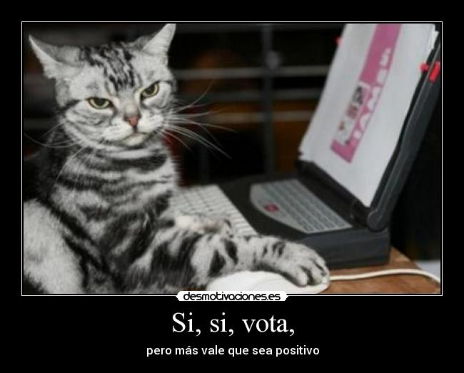 Si, si, vota, - pero más vale que sea positivo