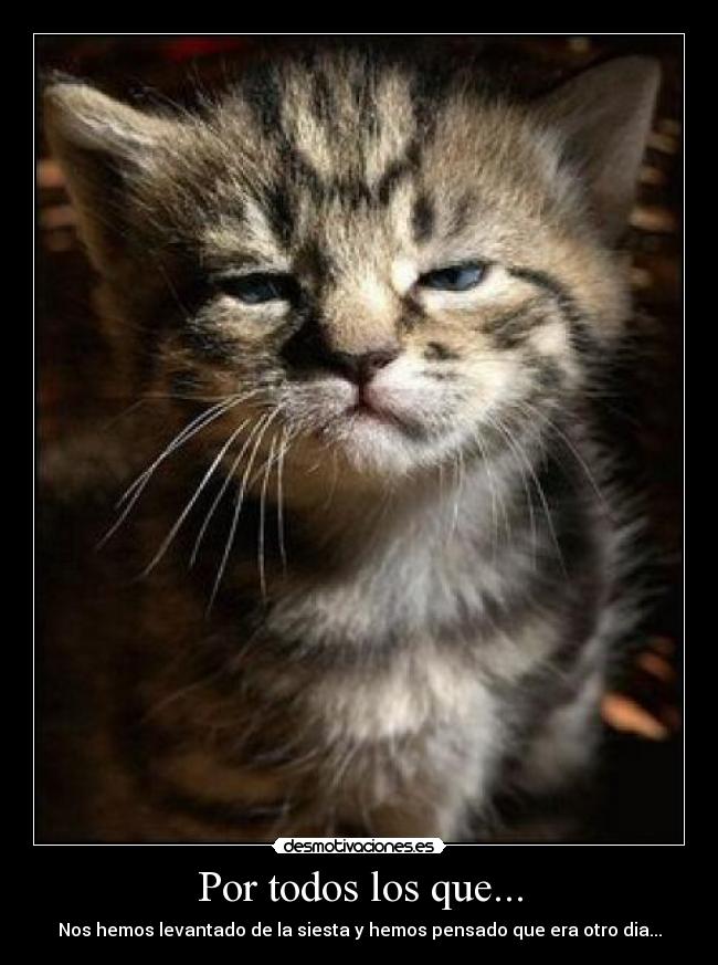 Por todos los que... -