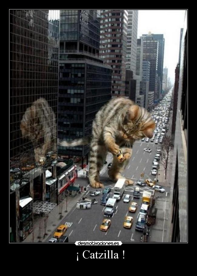 ¡ Catzilla ! -