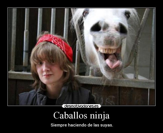 carteles addasd desmotivaciones