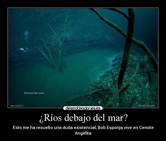 ¿Ríos debajo del mar? - Esto me ha resuelto una duda existencial, Bob Esponja vive en Cenote Angelita