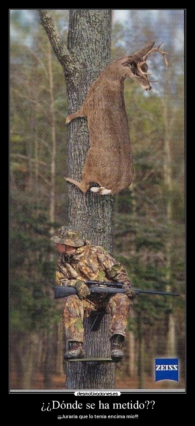 ¿¿Dónde se ha metido?? - ¡¡¡Juraría que lo tenía encima mío!!!