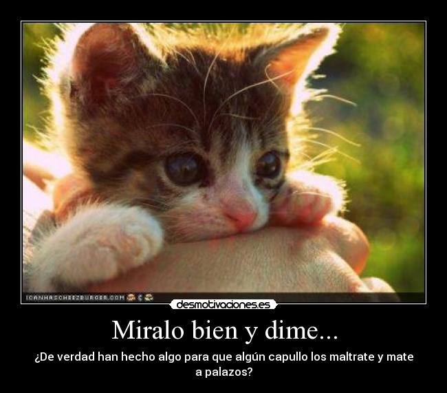 Miralo bien y dime... -