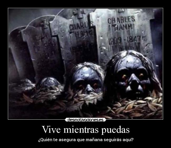 Vive mientras puedas - 