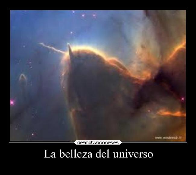 carteles dispot desmotivaciones