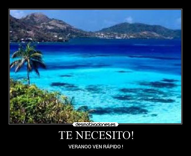 TE NECESITO! - 